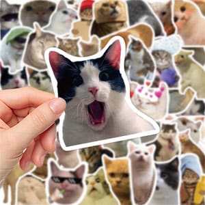 Find It Out: Oiiai Cat